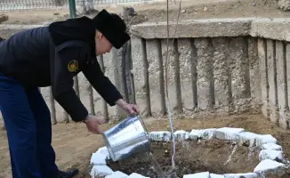 Наурызнама: военные сажают деревья для будущего!