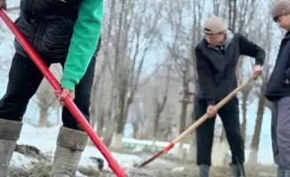 Маленькие хранители природы: как юные экологи села Алгабас восстанавливают родники и леса