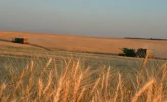 Туркестанская область: весеннее пробуждение полей под солнцем нового урожая