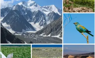 Новая концепция сохранения природы в Казахстане