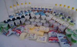 В Бурабайском районе активно строится молочно-товарная ферма на 1 440 голов КРС и завод по переработке молока