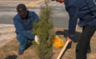 Родители сажают саженцы в дворах «Келешек мектептері»: инициатива, связывающая школу и семью в Кызылординской области