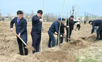 В Жетысайском районе высажено 5 тысяч саженцев в день обновления