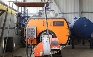 Запуск завода по переработке масличных культур в Туркестанской области: новые возможности для сельхозпроизводителей и экономики региона