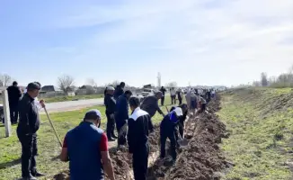ТУРКЕСТАН: ЭКОЛОГИЧЕСКАЯ АКЦИЯ «МӨЛДІР БҰЛАҚ» СОБРАЛА 500 УЧАСТНИКОВ В ЖЕТЫСАЕ