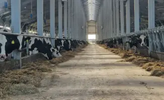 Аграрии Казахстана получили доступ к льготному кредитованию животноводства под 6%