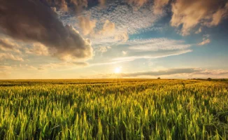 Социальные последствия климатических изменений: прогноз погоды в Казахстане на весну и лето 2026 года