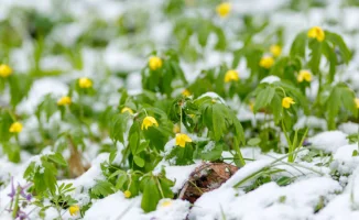 Снег и дождь: Казахстан готовится к мощному циклонному натиску
