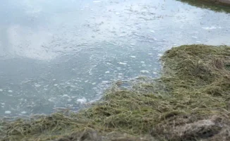 На страже от наводнений: МЧС Казахстана создает 'паводковый щит' для защиты страны