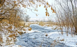Тепло до 15 градусов в Казахстане: возможные последствия для сельского хозяйства и здоровья населения