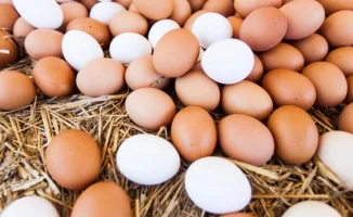 В Казахстане принято решение о расширении внешнеэкономической деятельности: экспорт говядины и импорт яиц одобрены Межведомственной комиссией по вопросам внешней торговли.