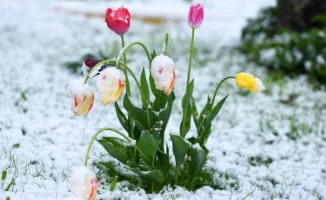 Синоптики Казгидромета прогнозируют возвращение морозов до -25 градусов в Казахстане на 7, 8 и 9 марта, что ставит под сомнение весенние ожидания жителей страны.