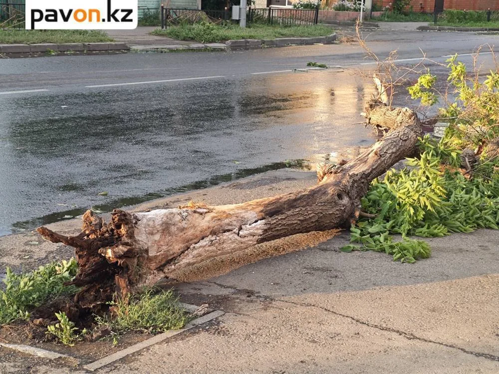 Штормовой ветер в Павлодарской области оставил жителей без кровли: 29 поврежденных крыш и разрушенные объекты Павлодаре