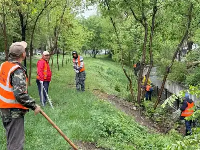 В Алматы в рамках «Мөлдір бұлақ» проведена очистка прибрежных территорий (4)