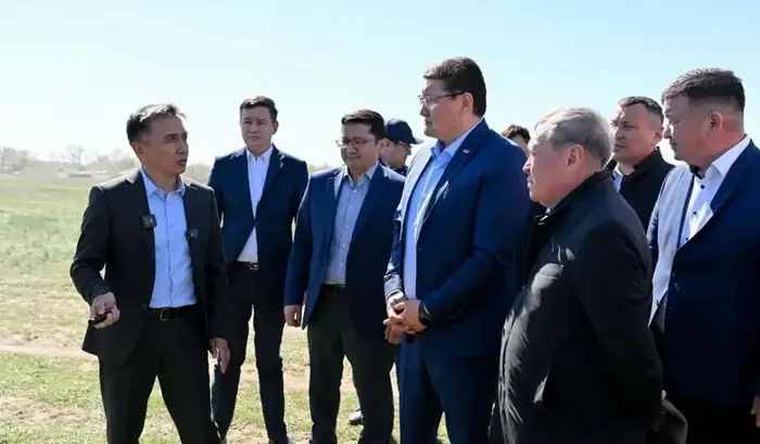 В Абайской области стартовали мероприятия по борьбе с саранчой