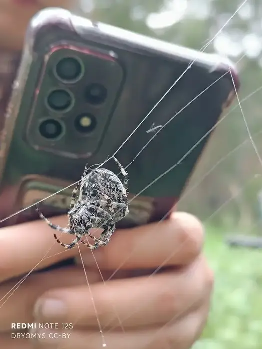 Караганда присоединится к международной акции City Nature Challenge (3)