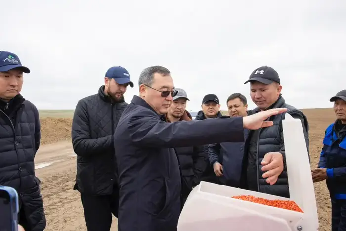 Фермеры Жамбылского района увеличивают посевные площади, используя пастбища