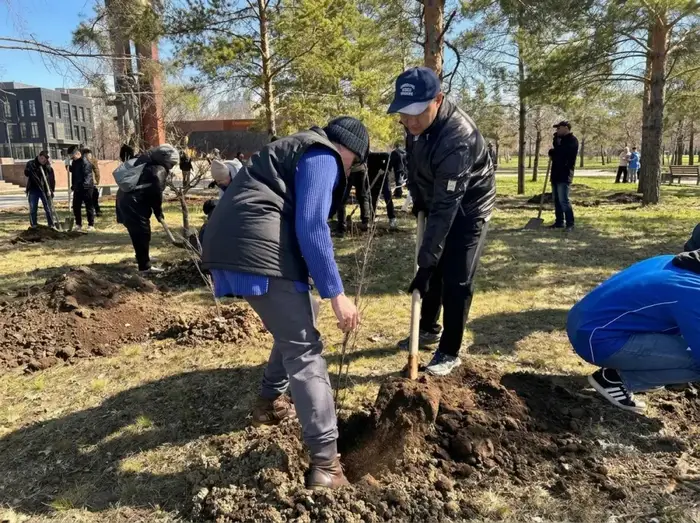 В Лисаковске прошли мероприятия по озеленению в рамках программы «Таза Қазақстан» с участием 123 человек
