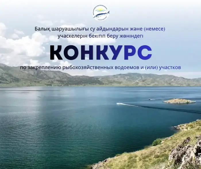 Кто поймает удачу на рыбном конкурсе?