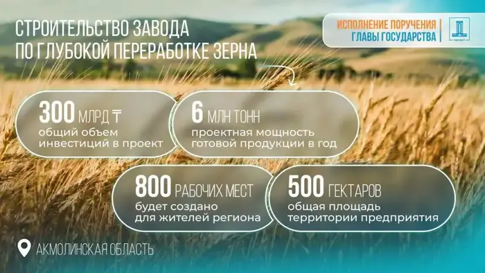 В Акмолинской области начнется строительство высокотехнологичного завода по переработке зерна, создающего 800 рабочих мест