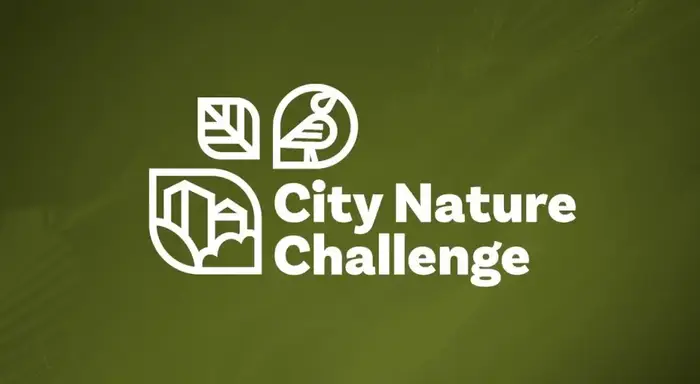 Участие Караганды в City Nature Challenge: влияние на экологическое сознание горожан