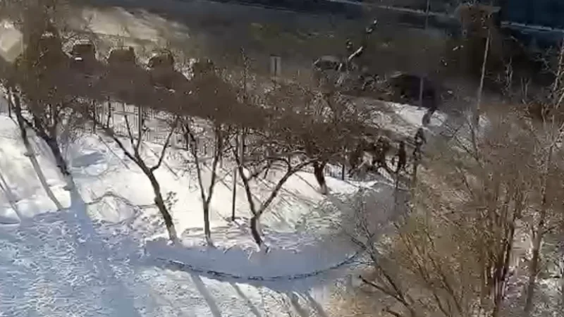 В Астане произошел жестокий конфликт между школьниками, который перерос в избиение с использованием кастетов. Пострадавший получил серьезные травмы, в том числе выбитые зубы. Павлодаре