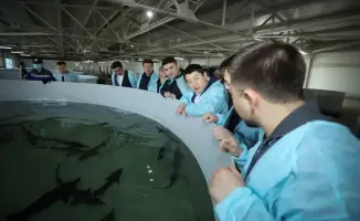 Осетровые: от деликатеса к экономическому прорыву!