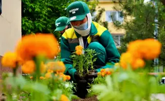 Кентау: цветы и волонтеры меняют облик города!