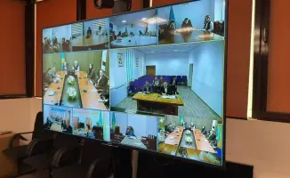 Эксперты Казахстана и ФАО обсуждают стратегии борьбы с саранчовыми вредителями в Астане