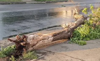 Штормовой ветер в Павлодарской области оставил жителей без кровли: 29 поврежденных крыш и разрушенные объекты