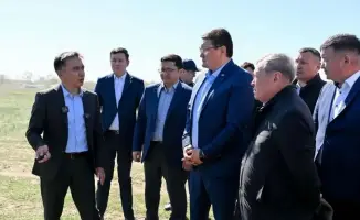 В Абайской области стартовали мероприятия по борьбе с саранчой