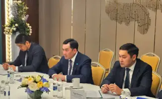 Казахстан и ЕЭК ООН обсудили цели в области энергетической устойчивости и возобновляемых источников энергии