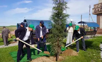 Высадка восьми тысяч саженцев в Казыгуртском районе в рамках проекта Таза Қазақстан