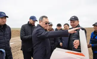 Фермеры Жамбылского района увеличивают посевные площади, используя пастбища
