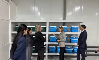 Обсуждение эпидемиологической ситуации в Алматинской области: рабочий визит председателя Комитета санитарно-эпидемиологического контроля С. Бейсеновой