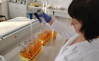 Новые засухоустойчивые сорта, запатентованные казахстанскими учеными, обещают увеличение урожайности до 10 ц/га