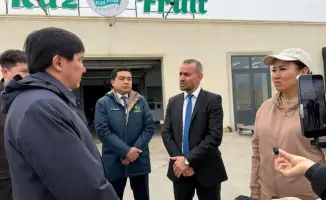 Цены на мясо упали: кто стоял на пути?