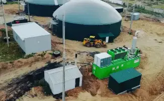 Карагандинская птицефабрика генерирует 15 млн кВт-ч электроэнергии из птичьего помёта