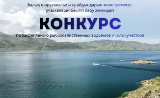 Кто поймает удачу на рыбном конкурсе?