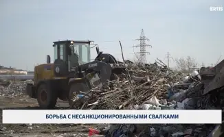 Борьба с несанкционированными свалками: местные власти активизируют рейды по очистке территорий