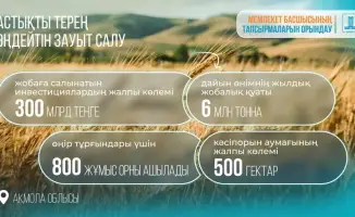 Строительство завода по глубокой переработке зерна в Акмолинской области Казахстана