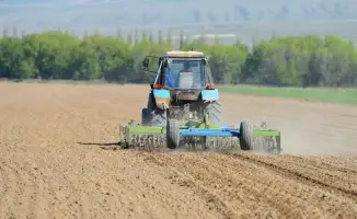 Весенние полевые работы в Жетісу сеять сафлор подсолнечник льготные кредиты