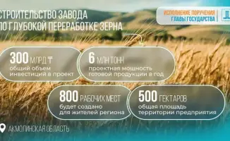 В Акмолинской области начнется строительство высокотехнологичного завода по переработке зерна, создающего 800 рабочих мест