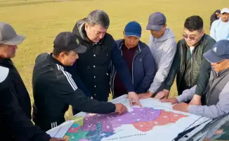 В Туркестанской области выявлено превышение саранчи на 86,23 тыс. гектаров