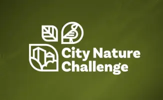 Участие Караганды в City Nature Challenge: влияние на экологическое сознание горожан