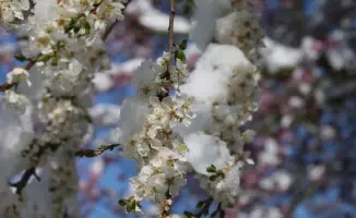 Казахстан в плену зимних объятий: морозы до -5 градусов окутали страну, синоптики предсказывают холодные дни 9-11 апреля