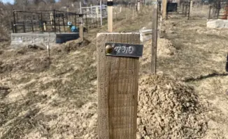 Последний путь безродных: как в Казахстане хоронят тех, кто остался один