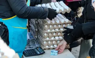 Суббота в Павлодаре: ярмарка, где урожай встречает покупателей!