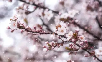 Снег и заморозки ожидаются в Казахстане: синоптики Казгидромета представили прогноз погоды на 25, 26 и 27 апреля