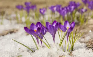 Казахстан устанавливает температурные рекорды: от морозов до аномального тепла в марте 2026 года